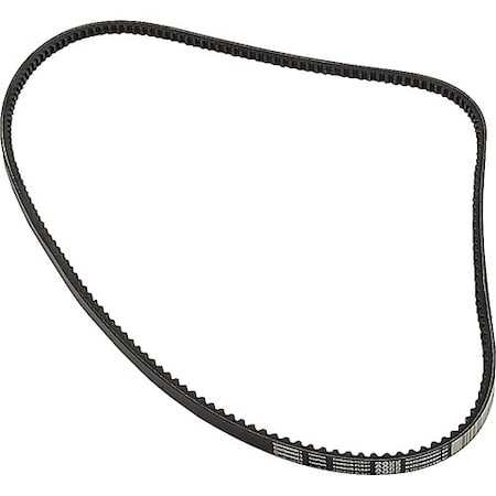 Allpoints Belt, Ax55 1591152
